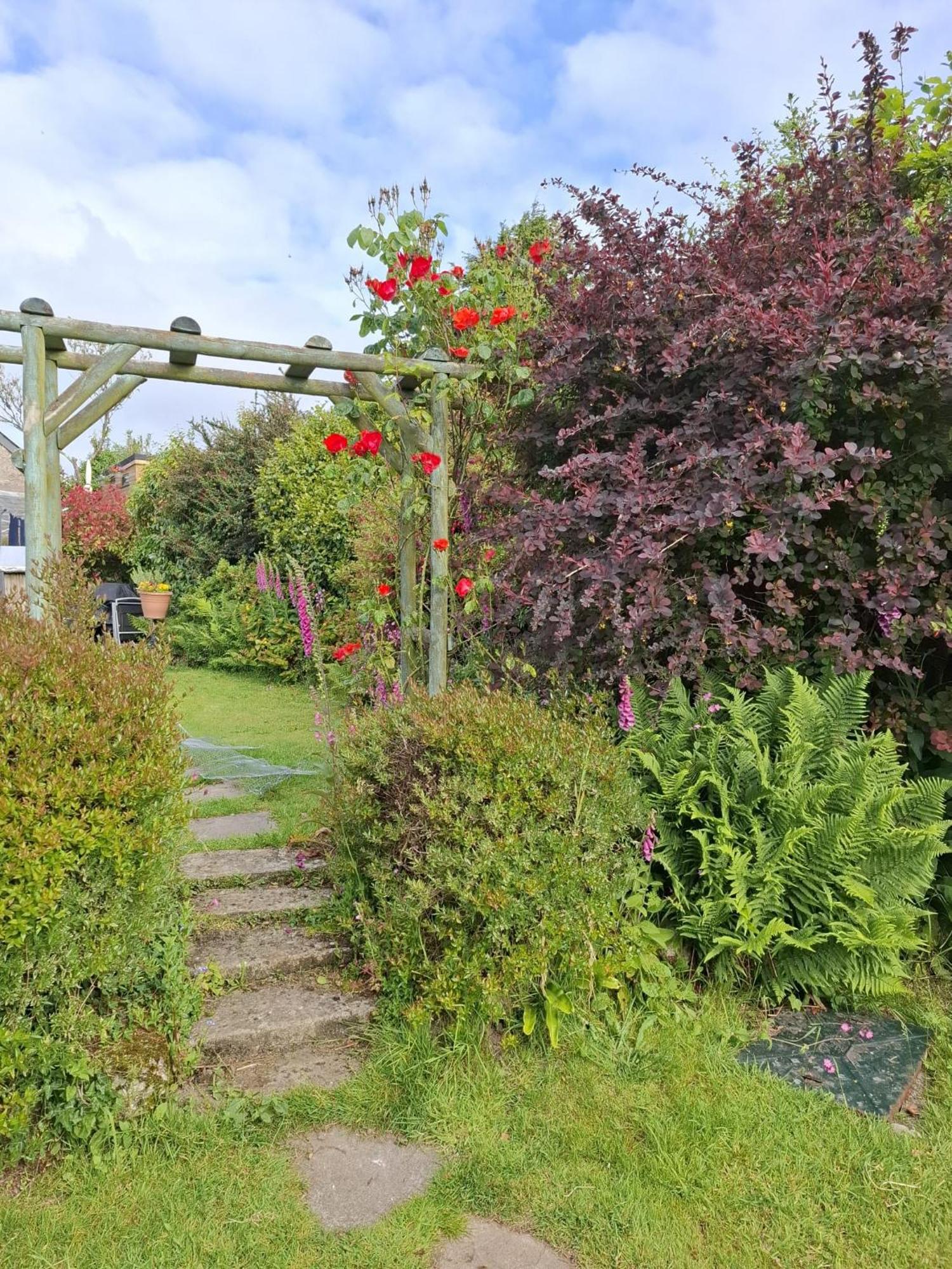 Cosy Cornish Cabin St Austell Luaran gambar