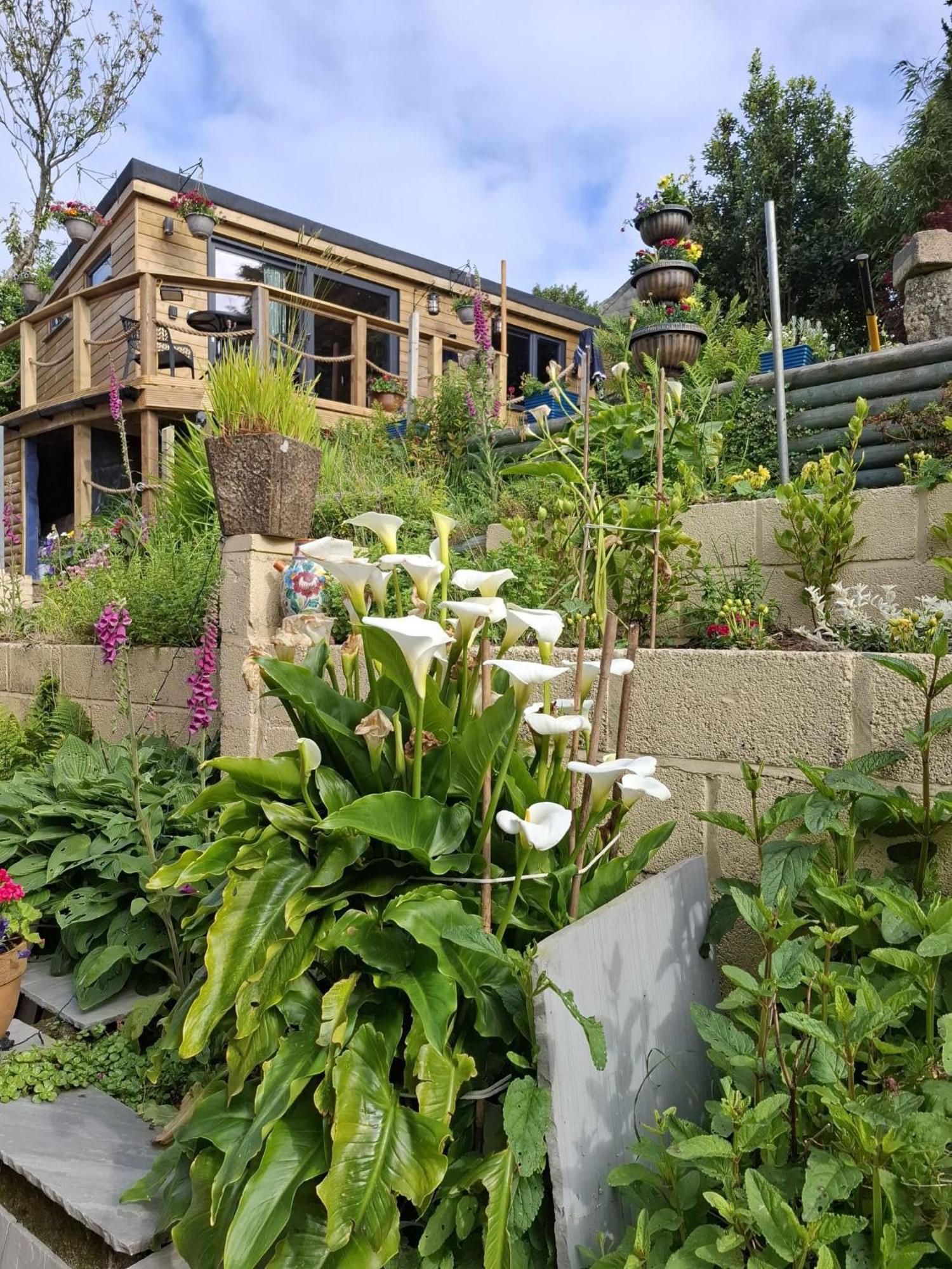 Cosy Cornish Cabin St Austell Luaran gambar