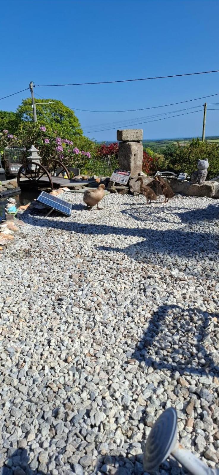 Cosy Cornish Cabin St Austell Luaran gambar