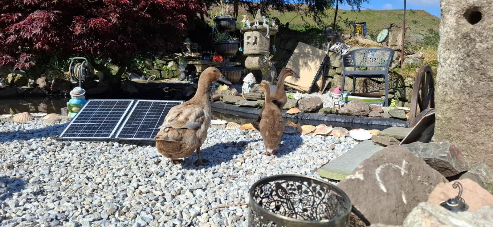 Cosy Cornish Cabin St Austell Luaran gambar